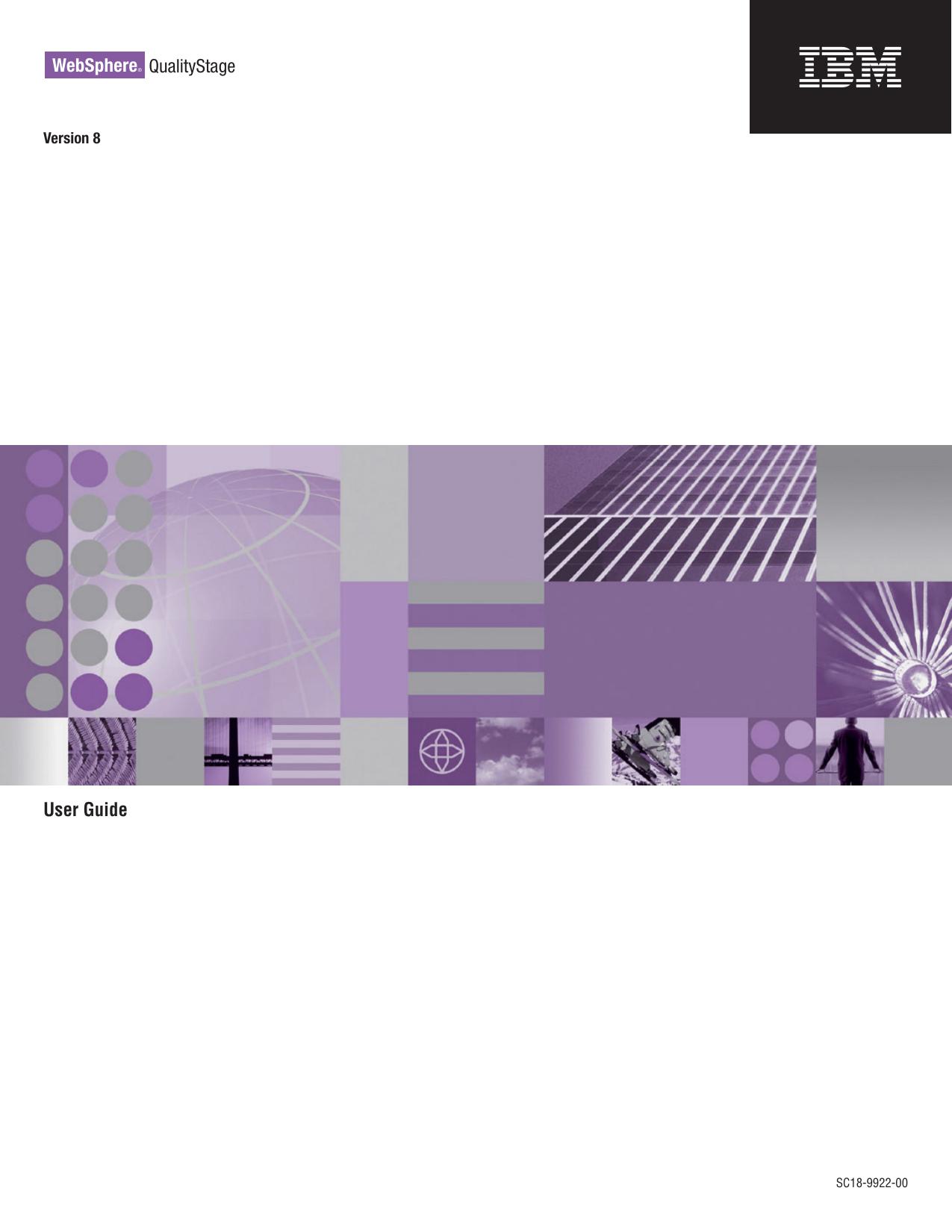 WebSphere QualityStage User Guide