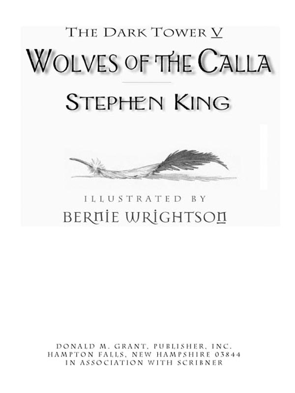 The Dark Tower V