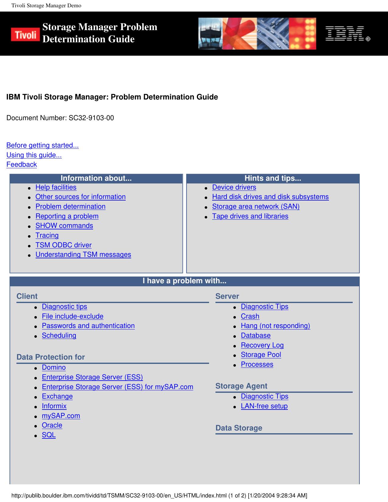 Tivoli Storage Manager Demo
